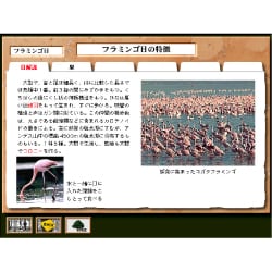 学研マルチメディア図鑑 鳥