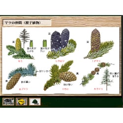 学研マルチメディア図鑑 野外植物