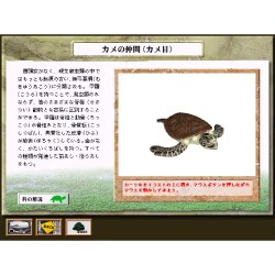 学研マルチメディア図鑑 両性・爬虫類