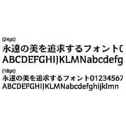 千都フォントライブラリー ケアゲ6 ATM対応フォント(CID) [Macソフト ダウンロード版]