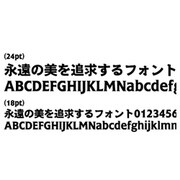 千都フォントライブラリー ダイゴ7 TrueTypeフォント [ダウンロードソフトウェア Win専用]