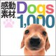 感動素材Dogs1000 [ダウンロードソフトウェア Win専用]