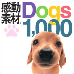 感動素材Dogs1000 [ダウンロードソフトウェア Win専用]