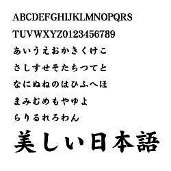 ダイナフォント DFP極太楷書体 TrueType for Mac [ダウンロードソフトウェア Mac専用]