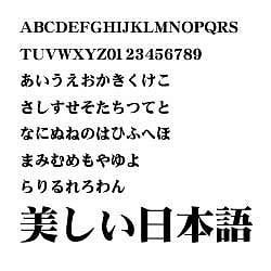 ダイナフォント DFP極太明朝体 TrueType for Mac [ダウンロードソフトウェア Mac専用]