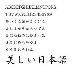 ダイナフォント DFP中楷書体 TrueType for Win [ダウンロードソフトウェア Win専用]