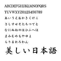 ダイナフォント DFP中太楷書体 TrueType for Win [ダウンロードソフトウェア Win専用]