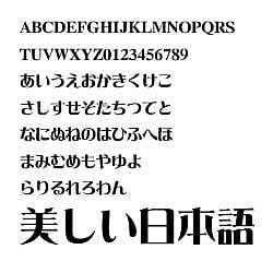 ヨドバシ.com - ダイナラブ・ジャパン ダイナフォント DFP麗雅宋 ヨドバシ.com - ダイナラブ・ジャパン ダイナフォント DFP麗雅宋