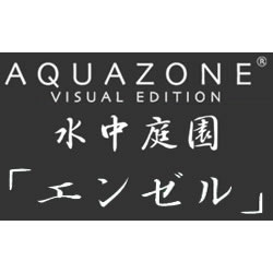 AQUAZONE VE 水中庭園 エンゼルフィッシュ 期間限定特価版