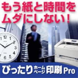 ぴったり ホームページ印刷Pro