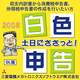 土日にささっと！白色申告2008（ダウンロード版）