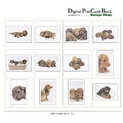Digital Post Card Book / ドッグスファミリー [Windows/Mac ダウンロード版]