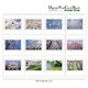 Digital Post Card Book / 桜 [Windows/Mac ダウンロード版]