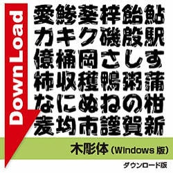 木彫体 [ダウンロードソフトウェア]
