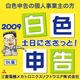 土日にささっと！白色申告2009（ダウンロード版） [ダウンロードソフトウェア Win専用]