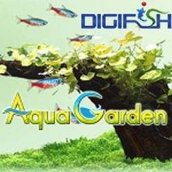 DigiFish AquaGarden（期間限定特価） [ダウンロードソフトウェア]