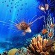 Aqua Real 2（期間限定特価） [ダウンロードソフトウェア]