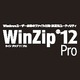 WinZip 12 Pro ダウンロード版 [ダウンロードソフトウェア Win専用]