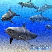 DigiFish Dolphin（期間限定特価） [ダウンロードソフトウェア Win専用]
