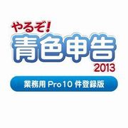 やるぞ！青色申告2013 業務用Pro 10件登録版  for Mac [ダウンロードソフトウェア Mac専用]