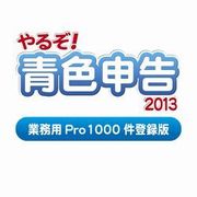 やるぞ！青色申告2013 業務用Pro 1000件登録版  for Win [ダウンロードソフトウェア Windows専用]