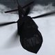 Area 51 Simulations　UH-60X Stealth Blackhawk [Windowsソフト ダウンロード版]
