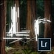 Adobe Photoshop Lightroom 5 [Windows＆Macソフト ダウンロード版]