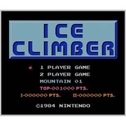 アイスクライマー ＜ファミリーコンピュータ＞ [3DSソフト ダウンロード版 Virtual Console（バーチャルコンソール）]
