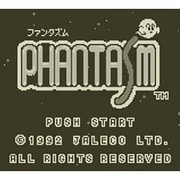 ファンタズム ＜ゲームボーイ＞ [3DSソフト ダウンロード版 Virtual Console（バーチャルコンソール）]