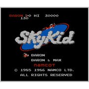 スカイキッド ＜ファミリーコンピュータ＞ [3DSソフト ダウンロード版 Virtual Console（バーチャルコンソール）]
