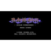 忍者龍剣伝 ＜ファミリーコンピュータ＞ [Wii Uソフト ダウンロード版 Virtual Console（バーチャルコンソール）]