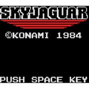 スカイジャガー [Wii Uソフト ダウンロード版 Virtual Console（バーチャルコンソール）]