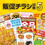 販促チラシ印刷5 DL版 [Windowsソフト ダウンロード版]