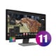 SILKYPIX Developer Studio 11 ダウンロード版 [Windows＆Macソフト ダウンロード版]