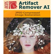 AKVIS Artifact Remover AI for Mac Business版 DL版 [OS X ＆Macソフト ダウンロード版]