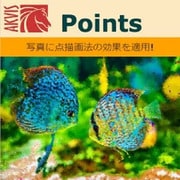 AKVIS Points Homeプラグイン版 DL版 [Windowsソフト ダウンロード版]