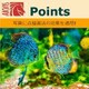 AKVIS Points for Mac Homeプラグイン版 DL版 [OS X ＆Macソフト ダウンロード版]