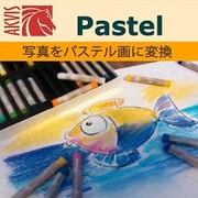 AKVIS Pastel for Mac Homeプラグイン版 DL版 [Macソフト ダウンロード版]