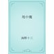 地中魔（青空文庫） [電子書籍]