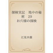 探検実記　地中の秘密　29 お穴様の探検（青空文庫） [電子書籍]