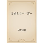 北條より一ノ宮へ（青空文庫） [電子書籍]