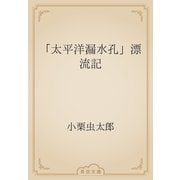 「太平洋漏水孔」漂流記（青空文庫） [電子書籍]
