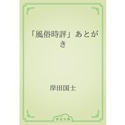 「風俗時評」あとがき（青空文庫） [電子書籍]
