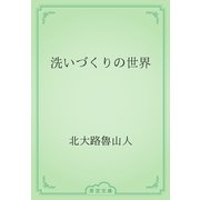 洗いづくりの世界（青空文庫） [電子書籍]