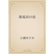 暴風雨の夜（青空文庫） [電子書籍]