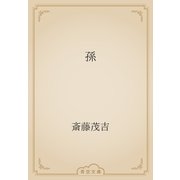 孫（青空文庫） [電子書籍]