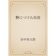 簪につけた短冊（青空文庫） [電子書籍]