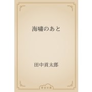 海嘯のあと（青空文庫） [電子書籍]