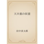 天井裏の妖婆（青空文庫） [電子書籍]