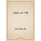 火傷した神様（青空文庫） [電子書籍]